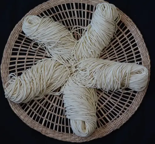 8-8 Tamago Ramen-Ramen con huevo estilo japonés